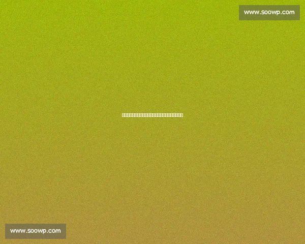 骑行路上的味觉盲盒：当外国骑手把菜单交给中国老板